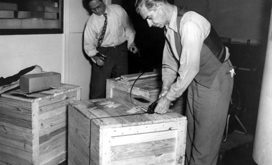 1951年，粮农组织迁往罗马 － 装满办公用品的坚固板条箱待送至纽约装船，运往意大利。