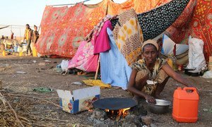 Tens of thousands of Ethiopians have been displaced by the ongoing conflict in the Tigray region.