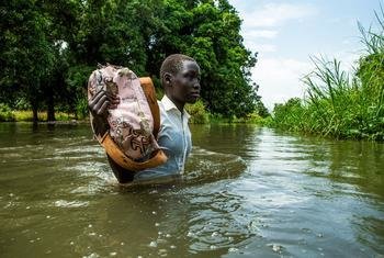 在南苏丹朱巴郊区，尼罗河泛滥，一名女孩从学校步行回家。