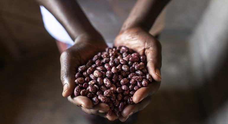 Global food prices rose ‘sharply’ during 2021 