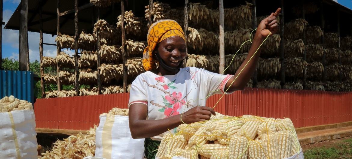 A farmer prepares the maize for market in east Rwanda.