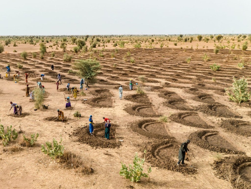 Au Sénégal, des efforts sont menés pour réhabiliter les sols et collecter de l'eau de pluie.