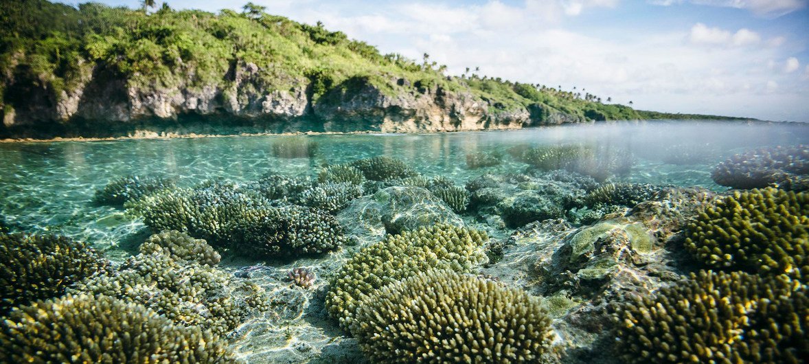 El arrecife Beveridge, localizado en las aguas de Niue en el Océano Pacífico. 