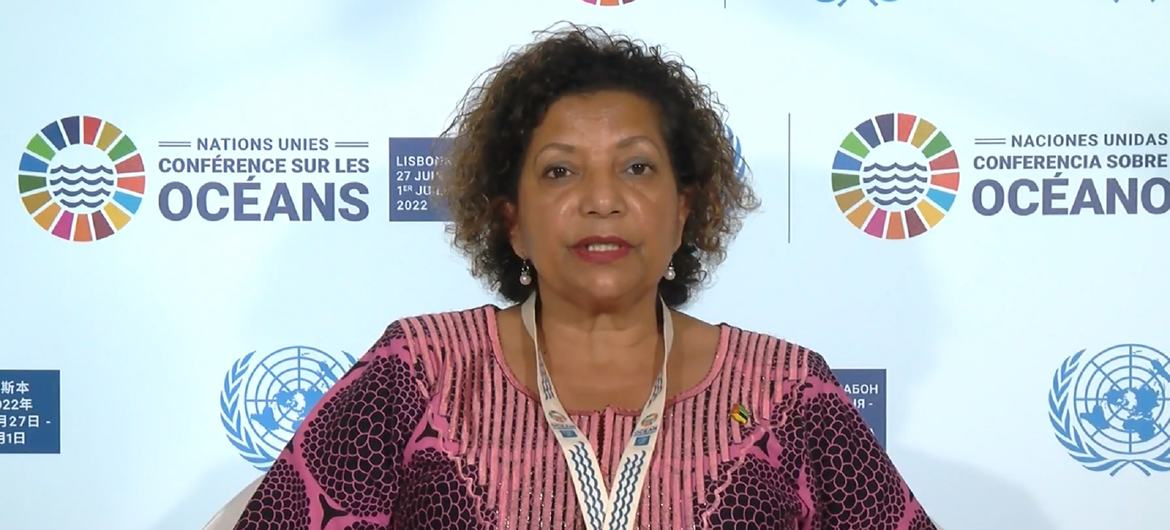 Lídia Cardoso fez um apelo por fundos para promover uma economia do mar sustentável 