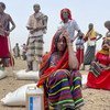 Food is distributed to people in the Afar region of Ethiopia.