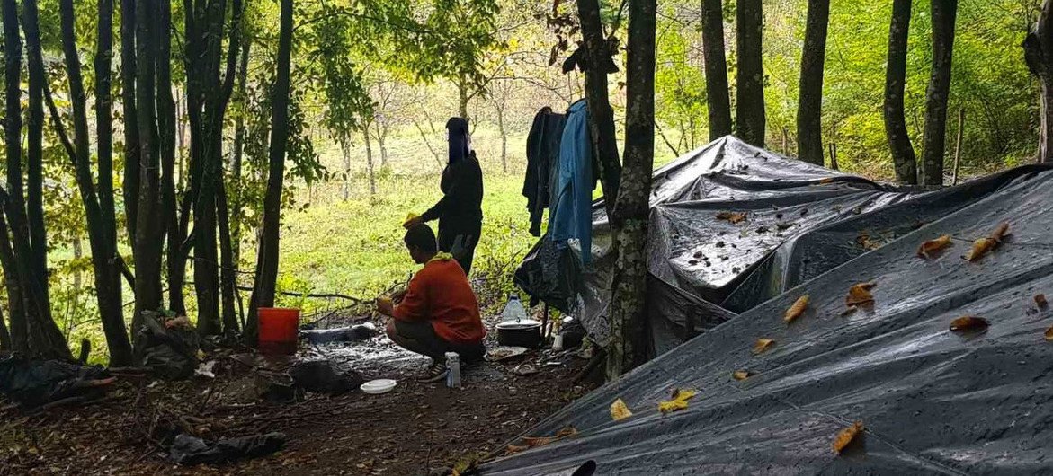 مهاجرون ينامون في الغابة بالقرب من بيهاتش في البوسنة والهرسك.