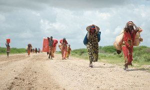 En Somalie quelque 2,6 millions de personnes pourraient être confrontées à une insécurité alimentaire grave en raison des faibles précipitations, des inondations et des criquets pèlerins.