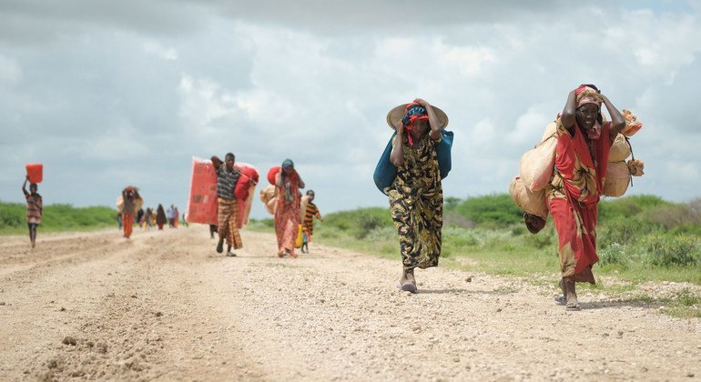 En Somalie quelque 2,6 millions de personnes pourraient être confrontées à une insécurité alimentaire grave en raison des faibles précipitations, des inondations et des criquets pèlerins.