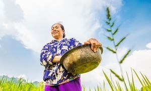 Le Thi Luan applies home-made biochar to her smallholding in Quang Chu commune, which has increased her rice and maize yield by 15 to 20 per cent.