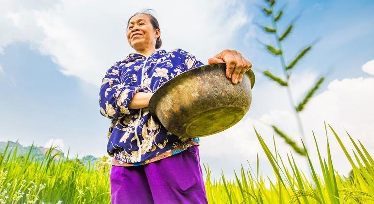 Le Thi Luan applies home-made biochar to her smallholding in Quang Chu commune, which has increased her rice and maize yield by 15 to 20 per cent.