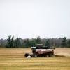 俄罗斯的一个农场正在收割小麦。