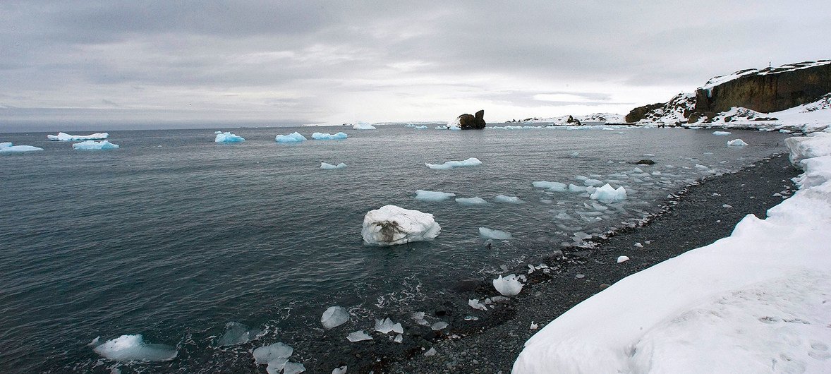صورة من الجو تظهر ذوبان الجليدات (الأنهار الجليدية) على ساحل جزيرة الملك جورج في أنتاركتيكا. 