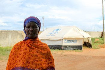 截至今年三月底，莫桑比克北部的暴力已导致大约67万人在该国境内流离失所。