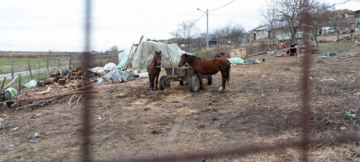 A rural Roma community located 60 km from Bucharest, Romania.