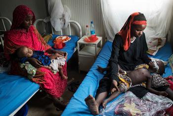 Malnourished children in the Hospital's therapeutic nutrition unit in Chad's capital, N'Djamena.