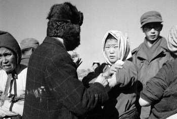 一个联合国民事援助小组向朝鲜难民提供了预防天花和斑疹伤寒的药物。（1951年）