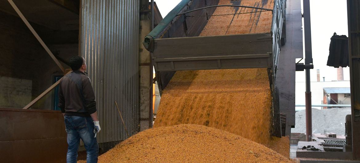 Un camión descarga maíz en una fábrica en Ucrania