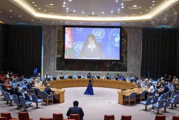 Réunion du Conseil de sécurité sur l'Afghanistan.