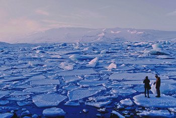 Calottes glaciaires à Jökulsárlón, Islande.