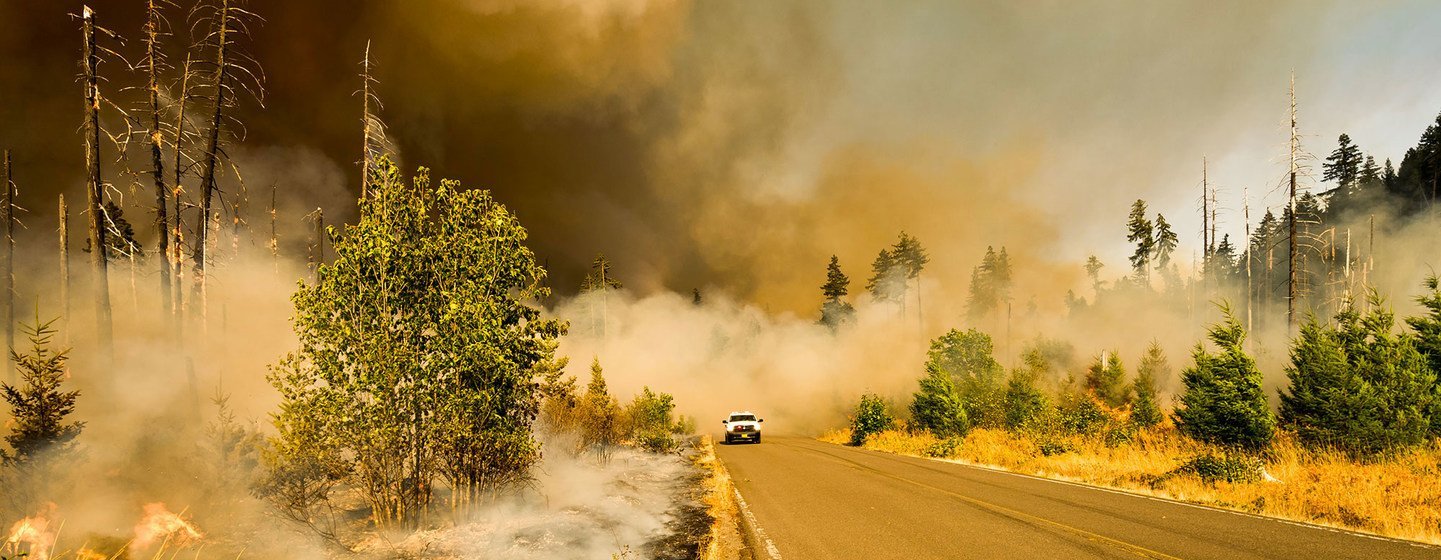 A wildfire burns in a national park in Oregon, USA. 