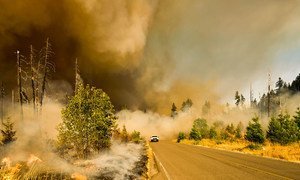 حريق هائل في إحدى الحدائق الوطنية في ولاية أوريغون، الولايات المتحدة الأمريكية.