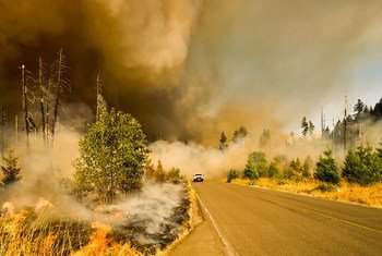 美国俄勒冈州的一个国家公园发生野火。