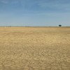 Climate change and the unsustainable use of land has contributed to desertification in the north-east of Cameroon. (January 2019)