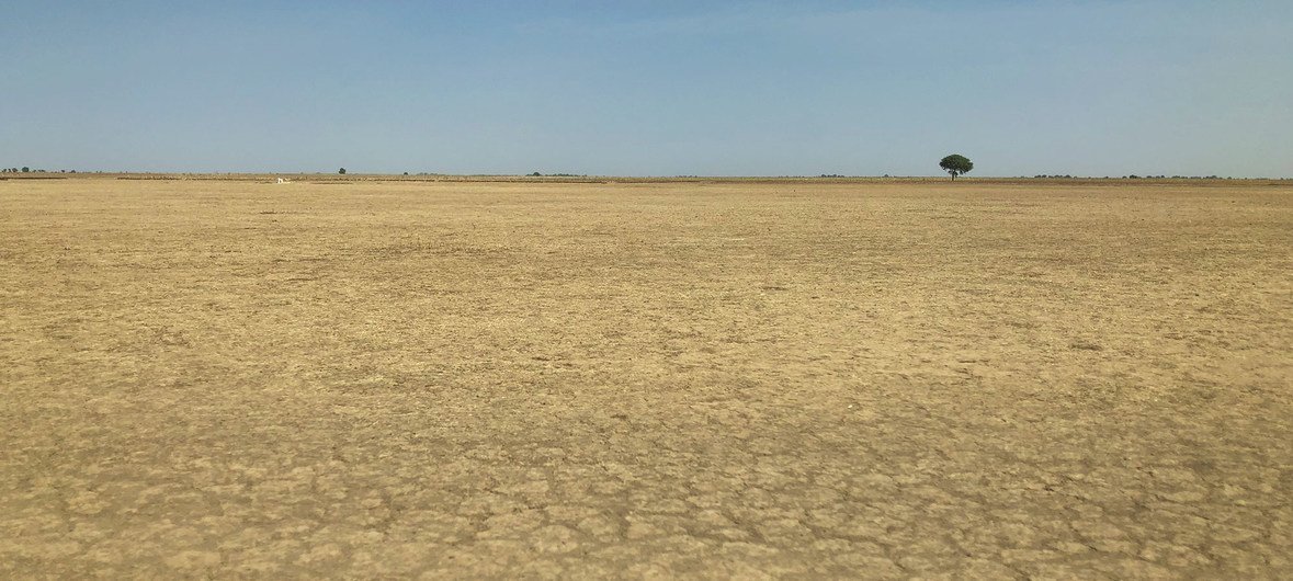 Climate change and the unsustainable use of land has contributed to desertification in the north-east of Cameroon. (January 2019)