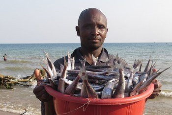 Mradi wa FISH4ACP wa kuongeza mnyororo wa thamani katika sekta ya uvuvi umepelekwa pia mkoani Katavi kusini-magharibi mwa Tanzania.