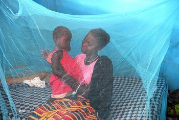 Los mosquiteros son una herramienta importante para protegerse de los piquetes de mosquitos transmisores de la malaria.