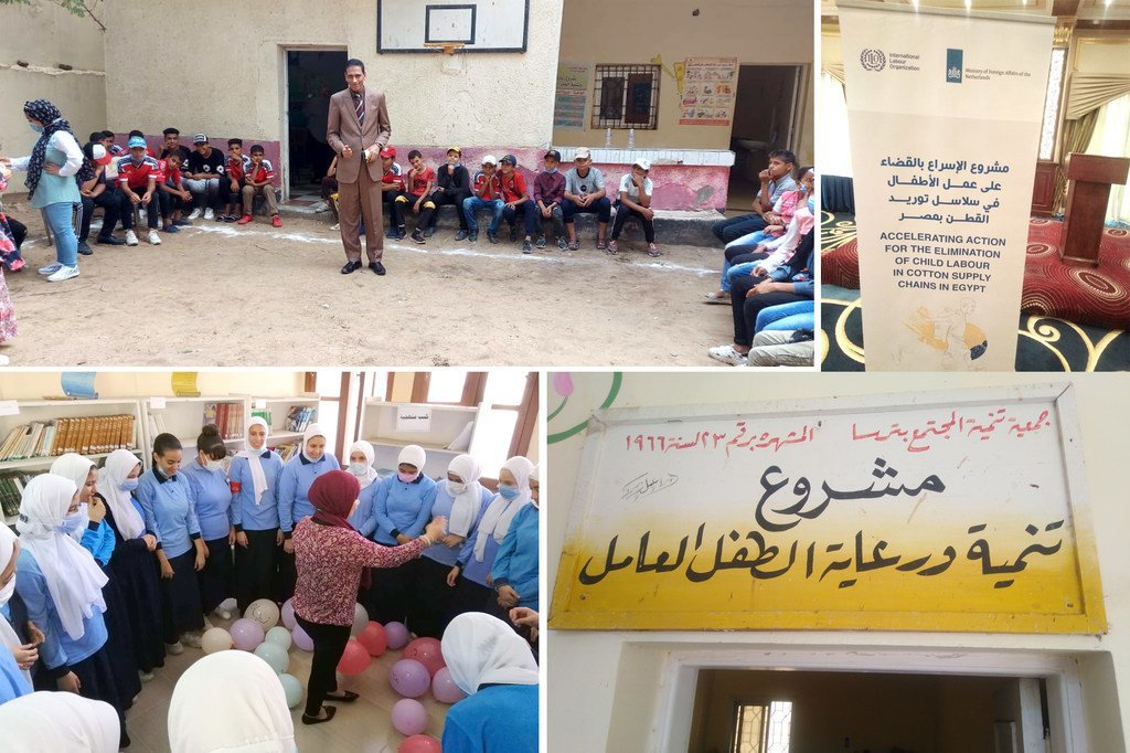 مشروع منظمة العمل الدولية لتسريع القضاء على عمل الأطفال في سلاسل توريد القطن في مصر