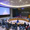 جلسة مجلس الأمن حول الوضع في مالي