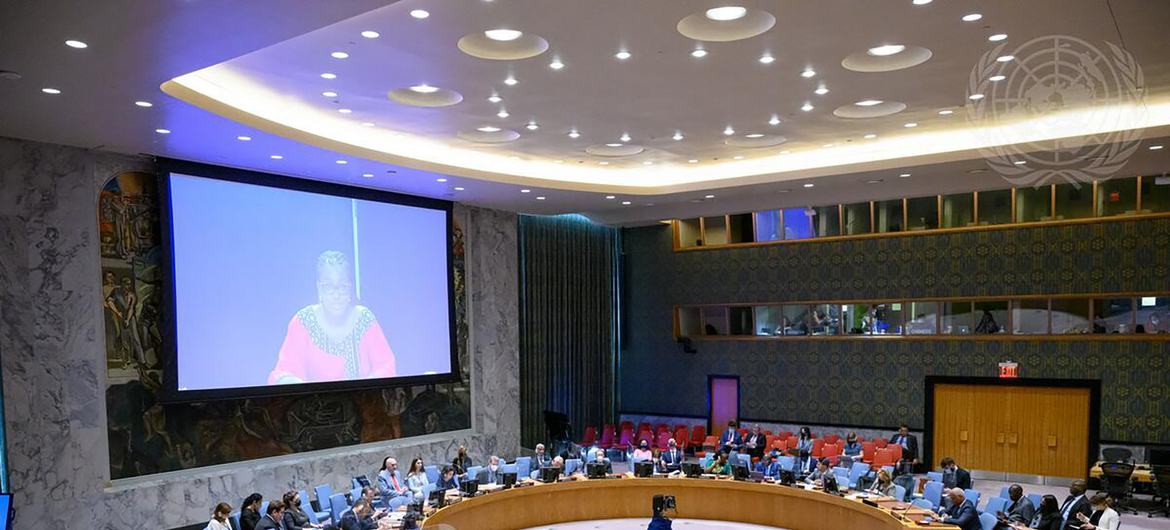 جلسة مجلس الأمن حول الوضع في مالي