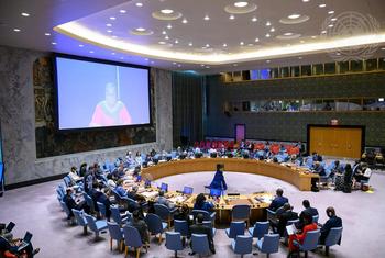 جلسة مجلس الأمن حول الوضع في مالي