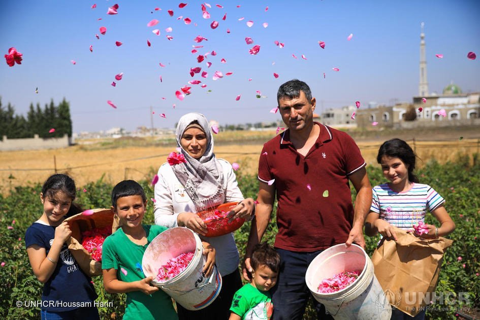 سالم الأزوق وعائلته خلال قطف الورود من مزرعتهم في سوريا.