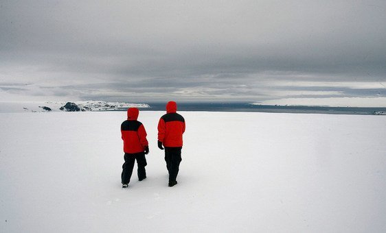 King George Island, Antarctica.