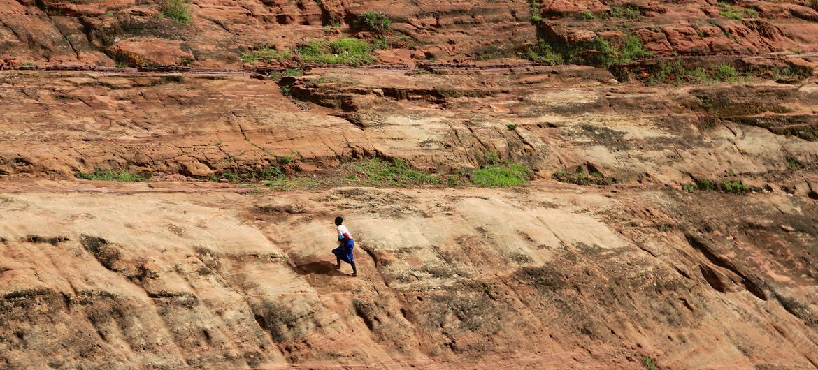 Forest landscape restoration in Ethiopia