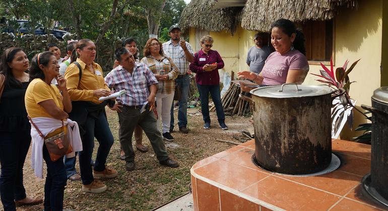 Con una estufa que ahorra leña, una mujer mexicana lucha contra el cambio climático