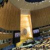 В Генеральной Ассамблее ООН обсудили вопросы борьбы с изменением климата. 