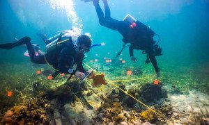 Cerca de 30 jóvenes apoyan la protección de los arrecifes de coral en el litoral caribeño de Costa Rica.