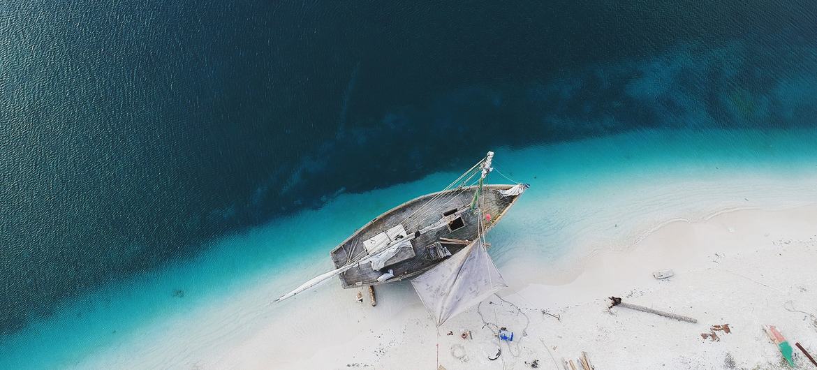 海地南部海岸的造船工人。