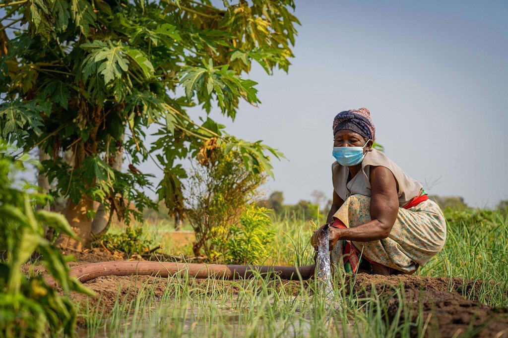 改善发展中国家的灌溉系统支持生计,有助于实现联合国的可持续发展目标。