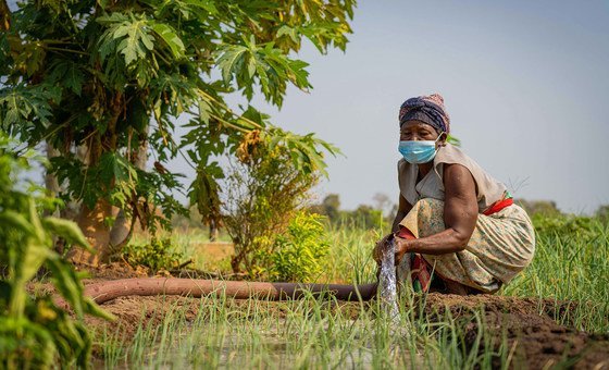 改善发展中国家的灌溉系统支持生计，有助于实现联合国的可持续发展目标。