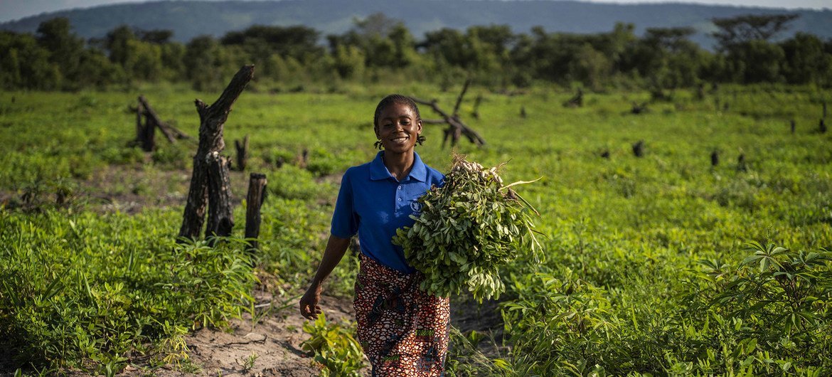 Una agricultora de la República Democrática del Congo beneficiada con los programas de capacitación y distribución de herramientas y semillas de la FAO.