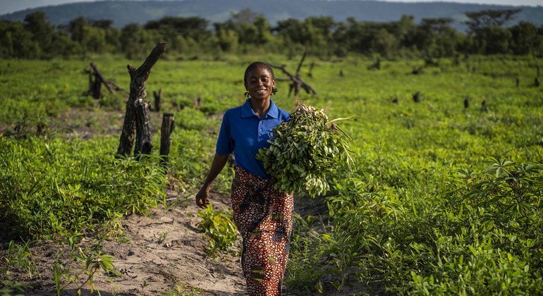 FAO head urges G20 to invest in a healthy planet for healthy food