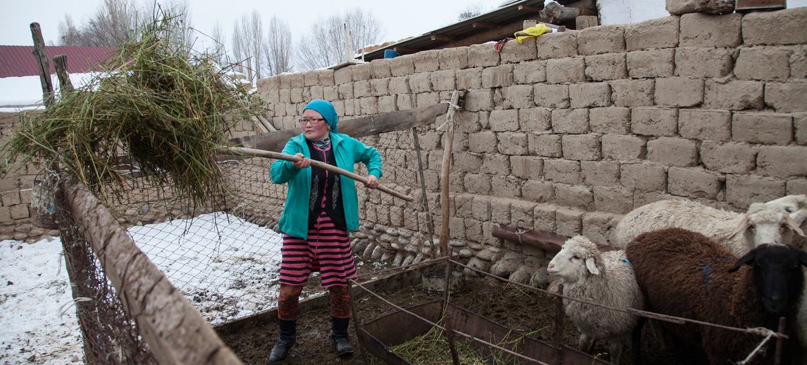 All rural workers deserve social protection coverage: New ILO report