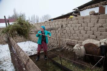 Trabajadora rural en Kirguistán.