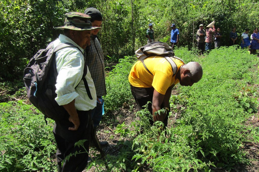 Los pueblos indígenas entienden que somos parte de la naturaleza, no de que estamos para conquistarla.