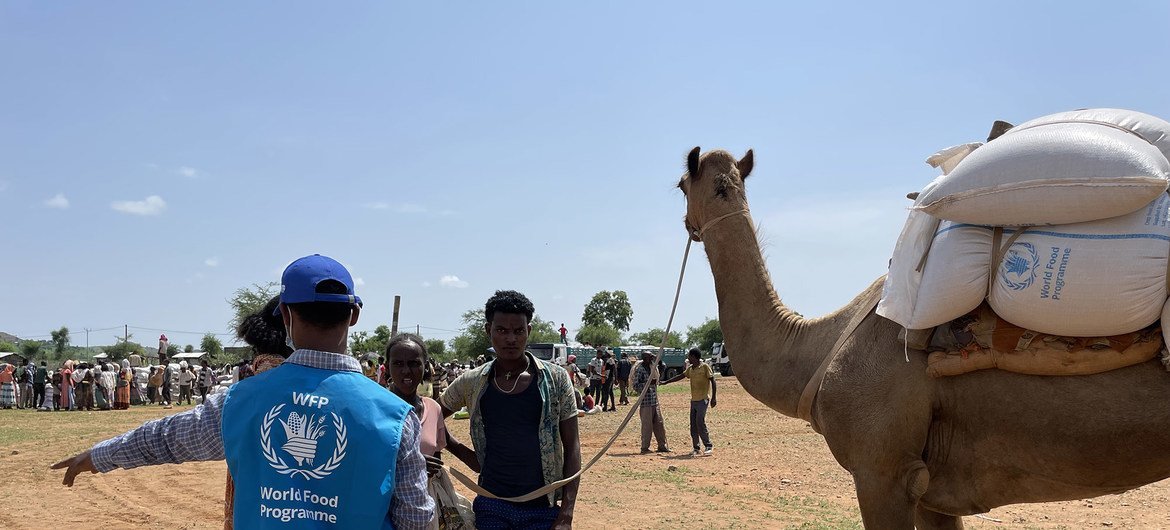 A World Food Programme worker supports a distribution of food in northern Ethiopia, where conflict is worsening the humanitarian situation.