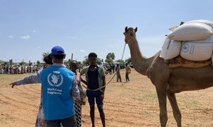 世界粮食计划署的一名工作人员支持在埃塞俄比亚北部分发食物，那里的冲突正在使人道主义局势变得恶化。
